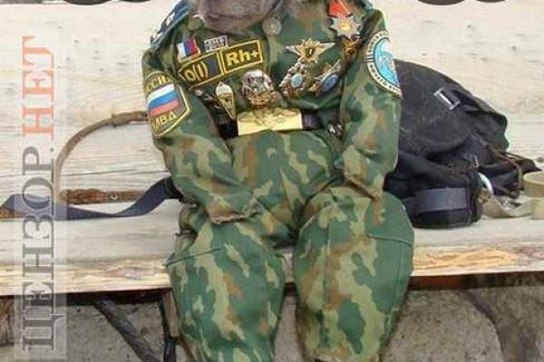 В соцсетях высмеяли операцию России в Сирии В соцсетях высмеяли операцию России в Сирии