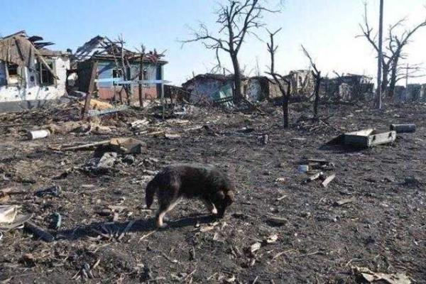 В сети появились фото того, что осталось от населенного пункта Никишино