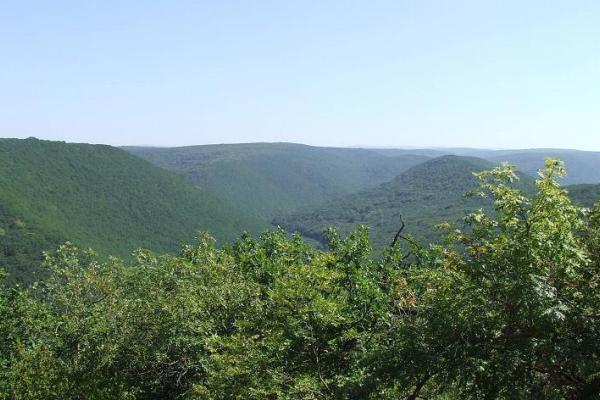 В Крыму гремят взрывы: местные жители в шоке от уничтожения гор и лесов В Крыму гремят взрывы: местные жители в шоке от уничтожения гор и лесов