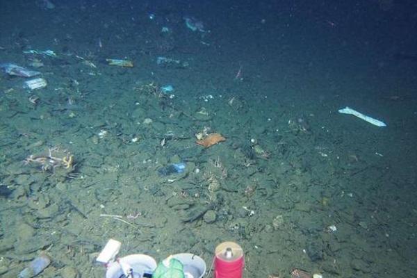 Печальная находка: на дне Марианской впадины найден пластиковый пакет Печальная находка: на дне Марианской впадины найден пластиковый пакет