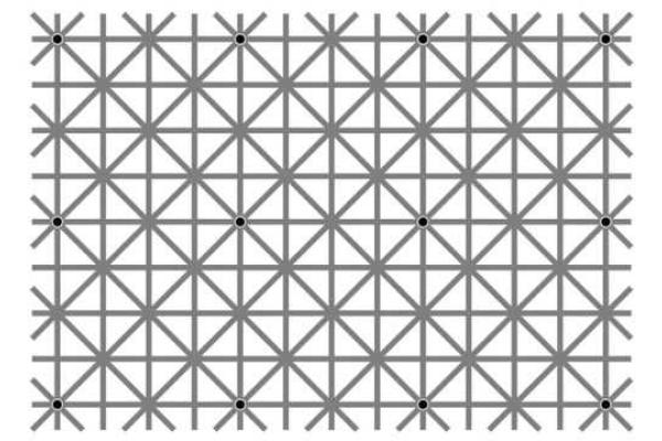 Сколько черных точек вы видите? Необычайная иллюзия покоряет соцсети