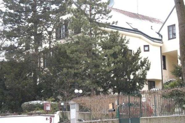 В Вене пикетировали имение семьи Азарова