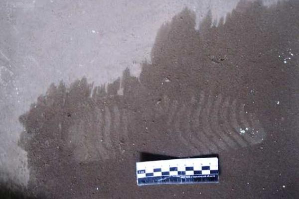 Правоохранители Харьковщины разоблачили мужчину, который обворовал базу производственного обслуживания Правоохранители Харьковщины разоблачили мужчину, который обворовал базу производственного обслуживания