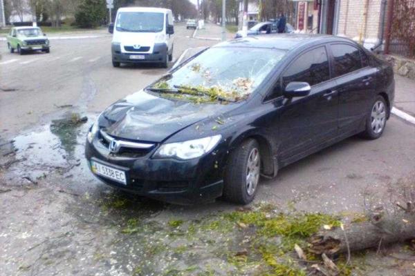 На Киевщине из-за непогоды дерево упало на автомобиль На Киевщине из-за непогоды дерево упало на автомобиль