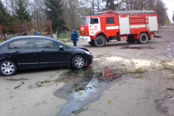 На Киевщине из-за непогоды дерево упало на автомобиль На Киевщине из-за непогоды дерево упало на автомобиль