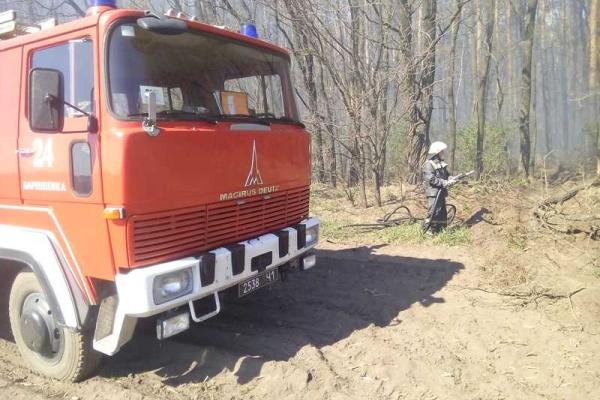 В Киевской области горел лесной настил В Киевской области горел лесной настил