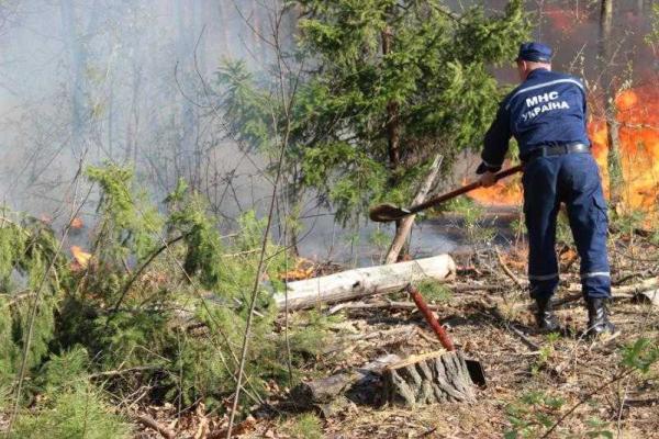 Огнеборцы продолжают тушить пожар в зоне отчуждения Огнеборцы продолжают тушить пожар в зоне отчуждения