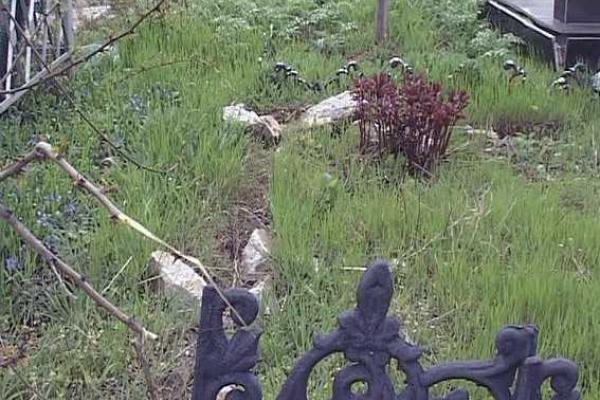 В Одессе задержаны кладбищенские воры
