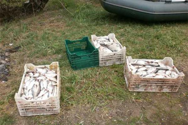 На Кировоградщине правоохранители обнаружили браконьера На Кировоградщине правоохранители обнаружили браконьера