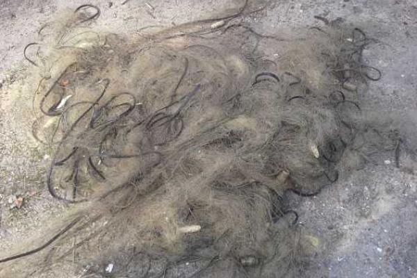 На Харьковщине задержали браконьеров На Харьковщине задержали браконьеров