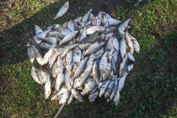 На Харьковщине задержали браконьеров На Харьковщине задержали браконьеров