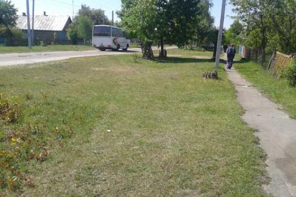 На Ровенщине из-за испуганной лошади погиб человек