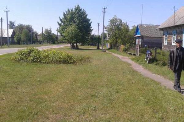 На Ровенщине из-за испуганной лошади погиб человек