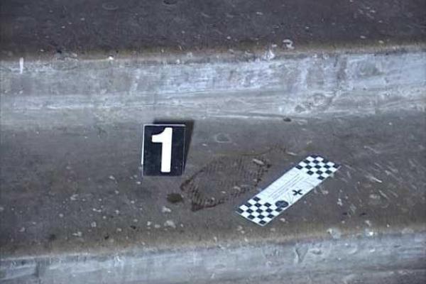 В Киеве служебная собака вывела на подозреваемого в убийстве