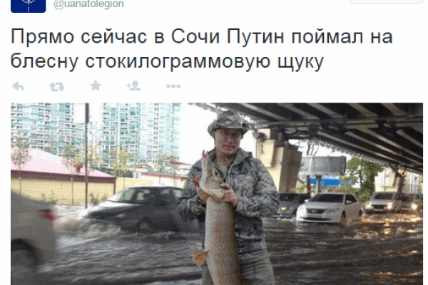 Сеть взорвали фотожабы из-за потопа в Сочи