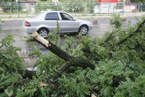 Ураган в Луганске принес масштабные разрушения Ураган в Луганске принес масштабные разрушения