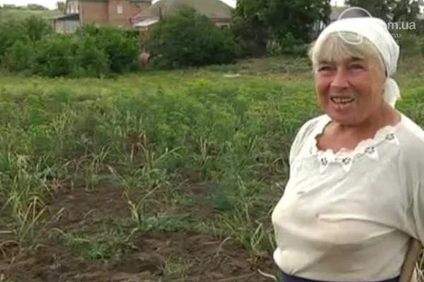 В Широкино мирные жители под обстрелами пропалывали огороды