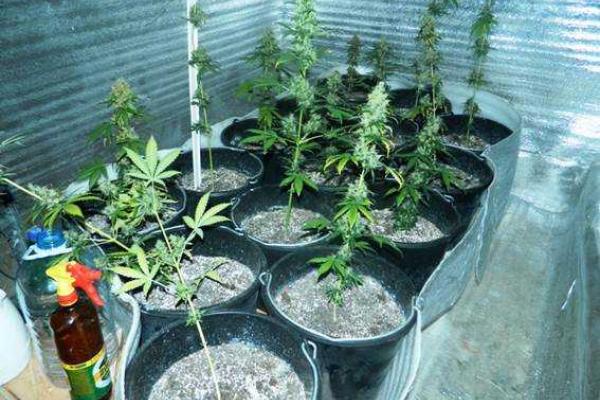 Киевские милиционеры приехали спасать девушку и обнаружили нарколабораторию Киевские милиционеры приехали спасать девушку и обнаружили нарколабораторию