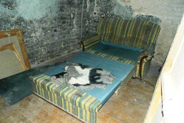 Киевские милиционеры приехали спасать девушку и обнаружили нарколабораторию Киевские милиционеры приехали спасать девушку и обнаружили нарколабораторию