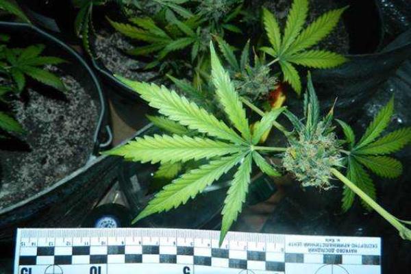 Киевские милиционеры приехали спасать девушку и обнаружили нарколабораторию Киевские милиционеры приехали спасать девушку и обнаружили нарколабораторию