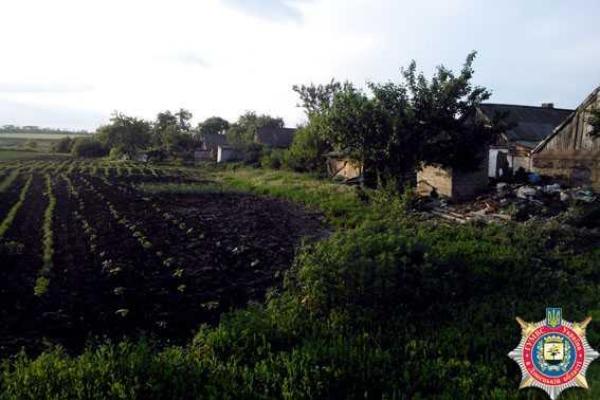 Житель Донетчины разбил конопляную плантацию на своем участке