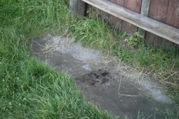 На Ровенщине мужчина зарезал своего пожилого соседа На Ровенщине мужчина зарезал своего пожилого соседа