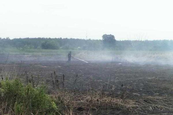 На Киевщине продолжается ликвидация пожаров в местах залежей торфа На Киевщине продолжается ликвидация пожаров в местах залежей торфа