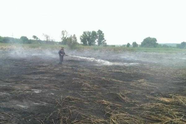 На Киевщине продолжается ликвидация пожаров в местах залежей торфа На Киевщине продолжается ликвидация пожаров в местах залежей торфа
