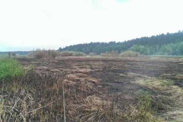 На Киевщине продолжается ликвидация пожаров в местах залежей торфа На Киевщине продолжается ликвидация пожаров в местах залежей торфа