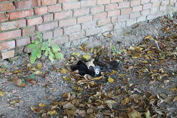 На Винничине раскрыто разбойное нападение, в результате которого погибла женщина-предприниматель На Винничине раскрыто разбойное нападение, в результате которого погибла женщина-предприниматель