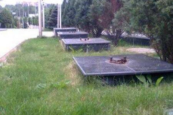 Террористы в Донецке сдают на металлолом все, что видят Террористы в Донецке сдают на металлолом все, что видят