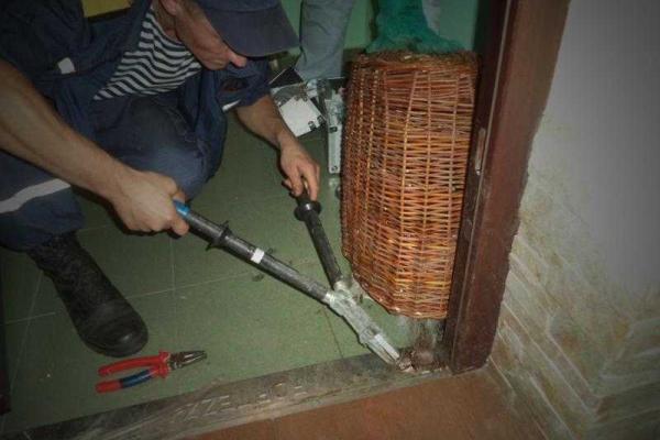 На Киевщине спасатели помогли домашнему еноту