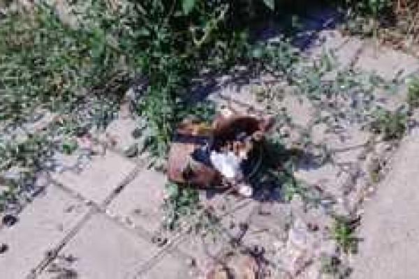 В Мариуполе на автобусной остановке обезвредили взрывоопасный предмет