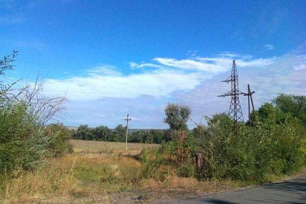 Власти "ЛНР" рапортуют о рекордных показателях собранного урожая пшеницы