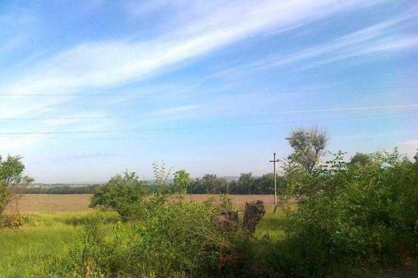 Власти "ЛНР" рапортуют о рекордных показателях собранного урожая пшеницы