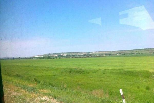 Власти "ЛНР" рапортуют о рекордных показателях собранного урожая пшеницы