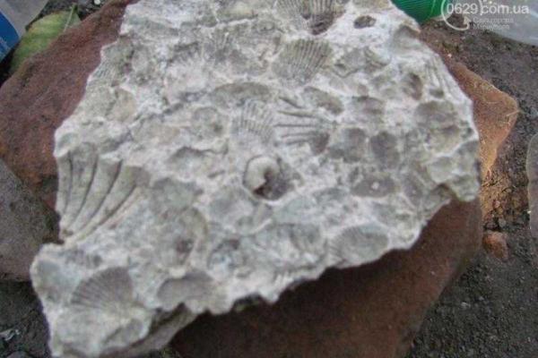 В Мариуполе нашли старинный клад