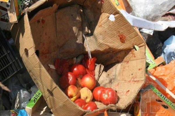 В Смоленске на свалке собирают санкционные персики на самогонку В Смоленске на свалке собирают санкционные персики на самогонку