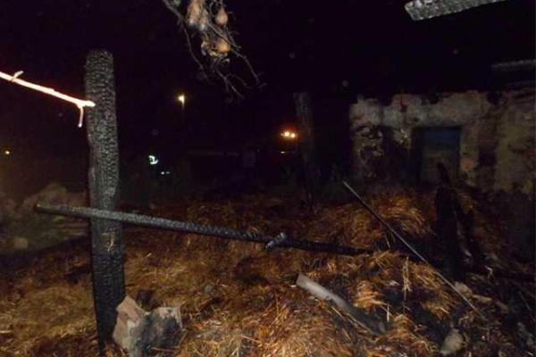 В Николаевской области от взрыва снаряда погибли мужчина и женщина В Николаевской области от взрыва снаряда погибли мужчина и женщина