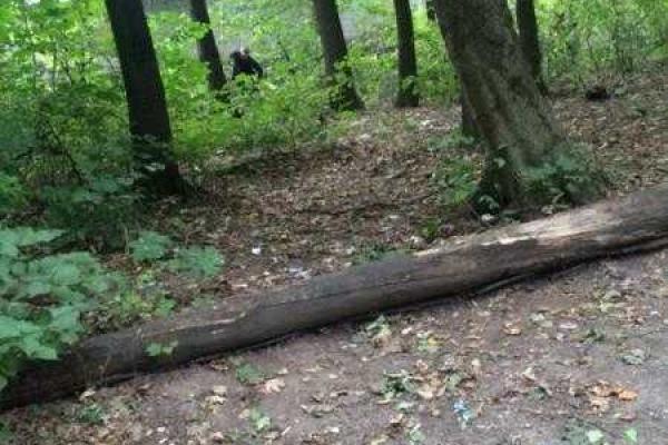 Во львовском парке мама на глазах у маленького ребенка удовлетворяла папу Во львовском парке мама на глазах у маленького ребенка удовлетворяла папу