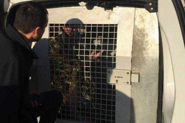 В столичном парке отдыха задержали неадекватного мужчину с гранатой В столичном парке отдыха задержали неадекватного мужчину с гранатой