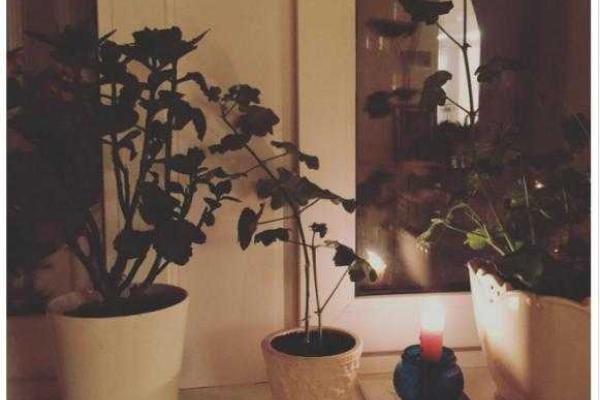 Свеча в окне: Украина чтит память жертв Голодомора