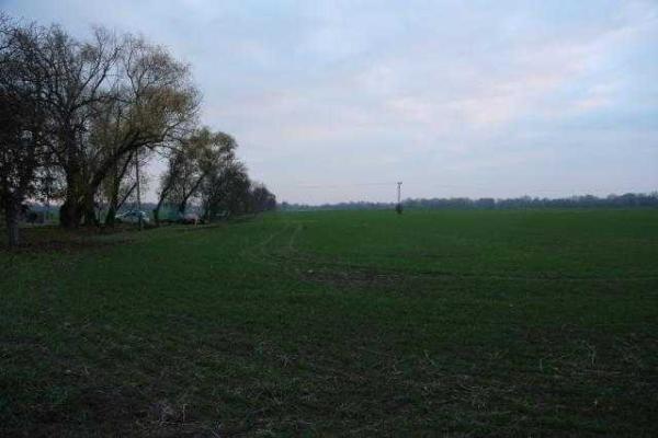 Опубликованы первые фото крушения украинского вертолета в Словакии