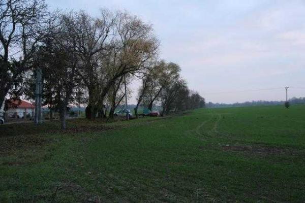 Опубликованы первые фото крушения украинского вертолета в Словакии