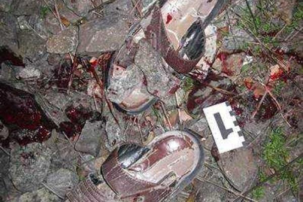 На Винничине правоохранители устанавливают личность мужчины, погибшего под колесами поезда На Винничине правоохранители устанавливают личность мужчины, погибшего под колесами поезда