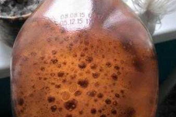 В "ДНР" продают просроченное пиво российского производства