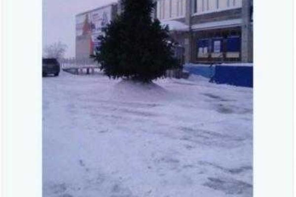 В российском городе разгорается скандал из-за новогодней ёлки-фаллоса В российском городе разгорается скандал из-за новогодней ёлки-фаллоса