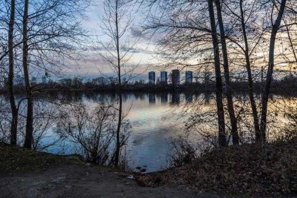 Кобзон и Табачник присвоили пляж в Киеве Кобзон и Табачник присвоили пляж в Киеве