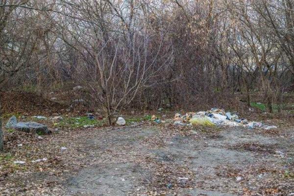 Кобзон и Табачник присвоили пляж в Киеве Кобзон и Табачник присвоили пляж в Киеве