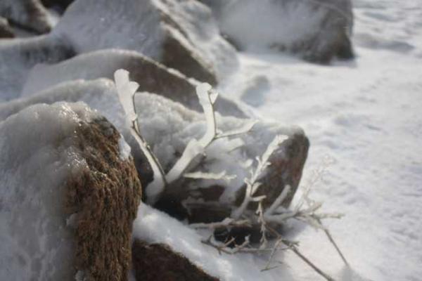 Азовское море замерзло и стало похоже на ледяную пустыню